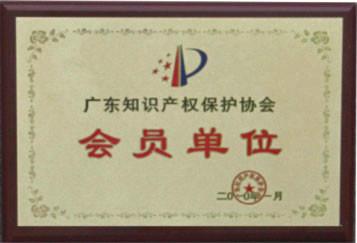 Member of Guangdong IP Protection Association
